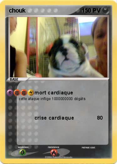 Pokemon chouk