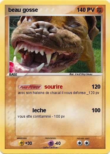 Pokemon beau gosse