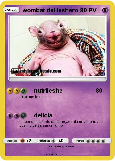 Pokemon wombat del leshero