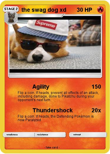 Pokemon the swag dog xd