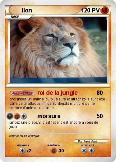 Pokemon lion