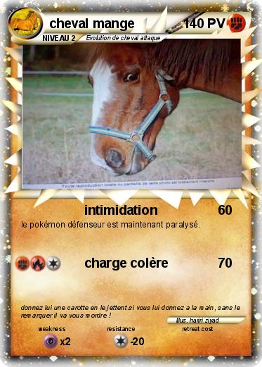 Pokemon cheval mange