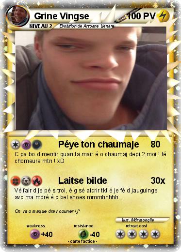 Pokemon Grine Vingse