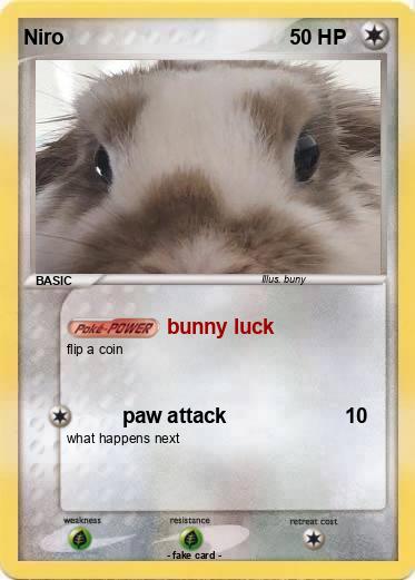 Pokemon Niro
