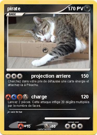 Pokemon pirate