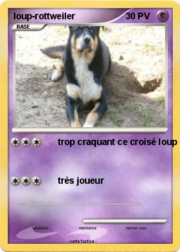 Pokemon loup-rottweiler