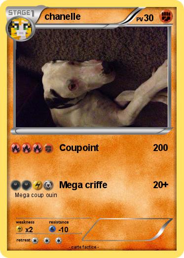 Pokemon chanelle