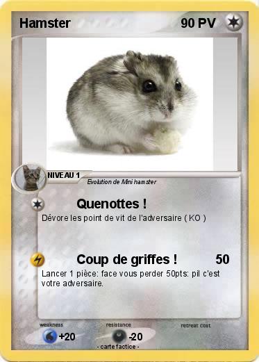 Pokemon Hamster