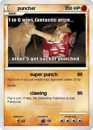 Pokemon puncher