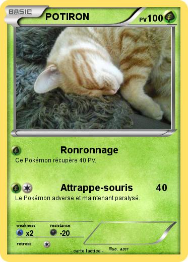 Pokemon POTIRON
