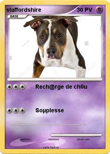 Pokemon staffordshire