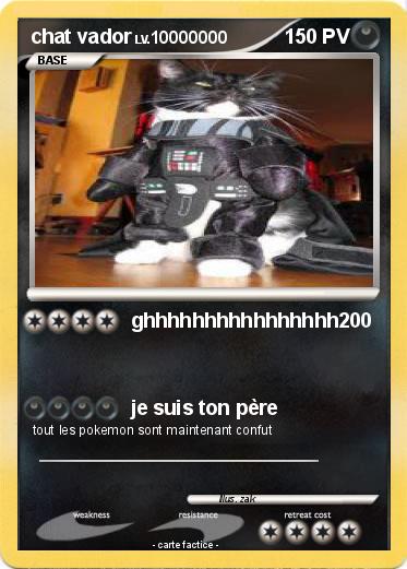 Pokemon chat vador