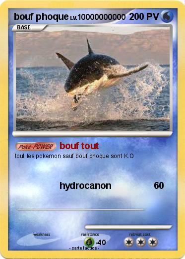 Pokemon bouf phoque