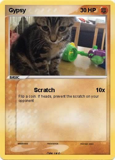 Pokemon Gypsy