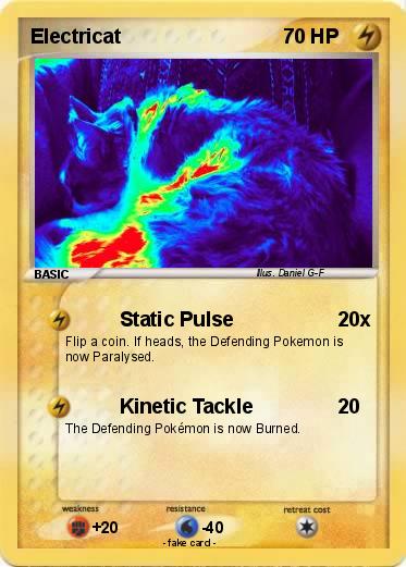 Pokemon Electricat
