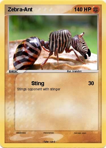 Pokemon Zebra-Ant