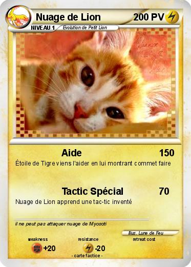 Pokemon Nuage de Lion