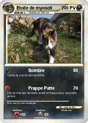 Pokemon Etoile de myosoti