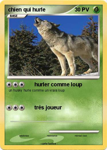 Pokemon chien qui hurle