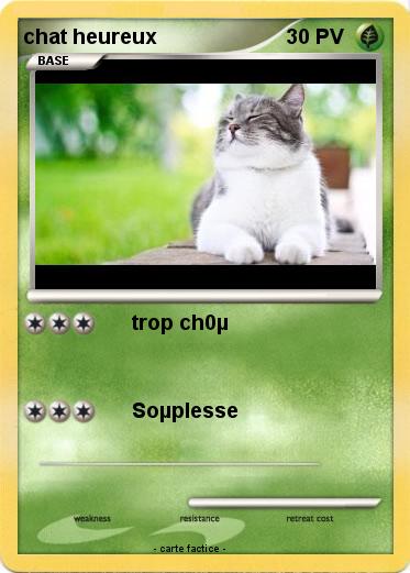 Pokemon chat heureux