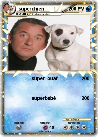 Pokemon superchien
