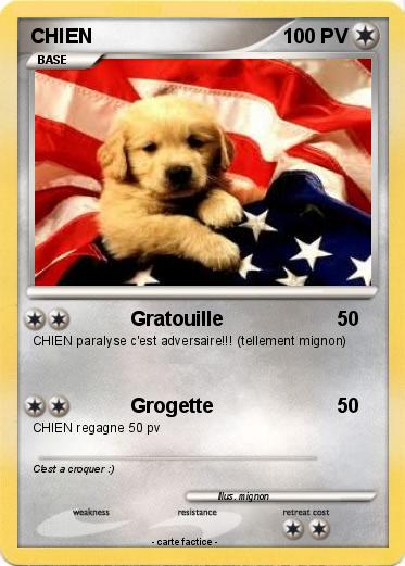 Pokemon CHIEN