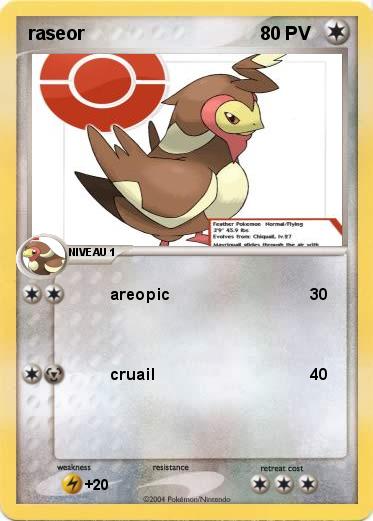 Pokemon raseor