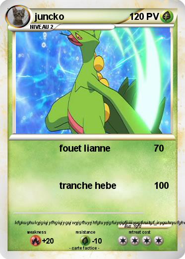 Pokemon juncko