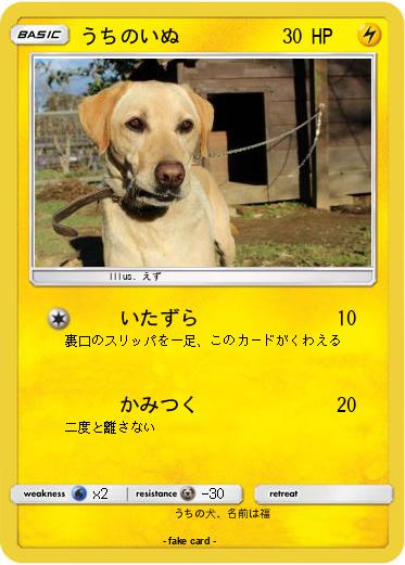 Pokemon うちのいぬ