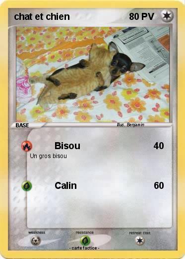 Pokemon chat et chien