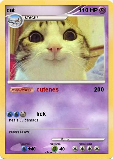 Pokemon cat