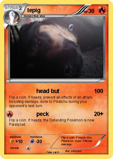 Pokemon tepig