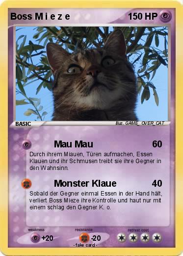 Pokemon Boss M i e z e