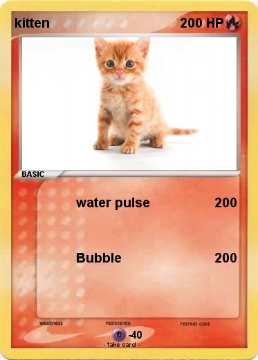 Pokemon kitten