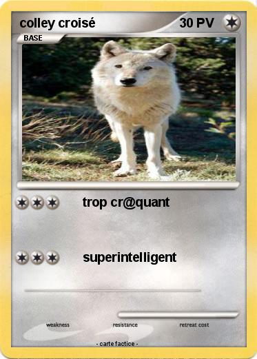 Pokemon colley croisé