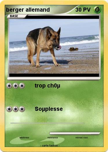 Pokemon berger allemand