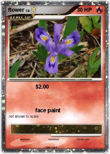 Pokemon flower
