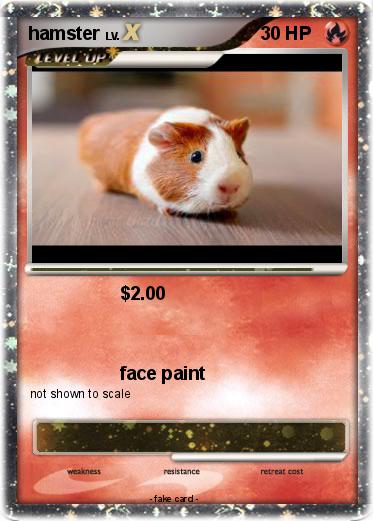 Pokemon hamster