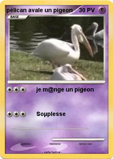 Pokemon pélican avale un pigeon