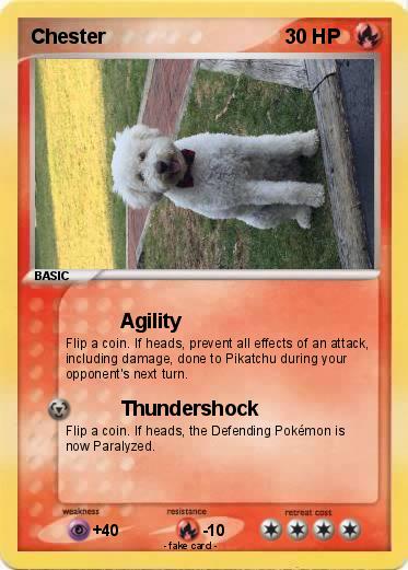 Pokemon Chester