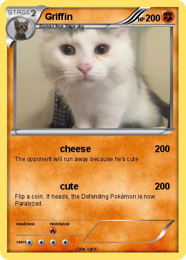 Pokemon Griffin