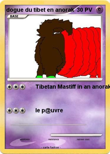 Pokemon dogue du tibet en anorak