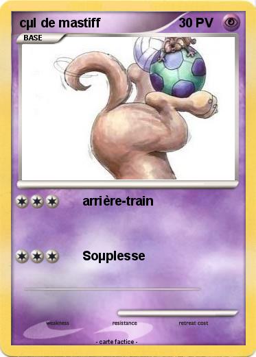 Pokemon cµl de mastiff
