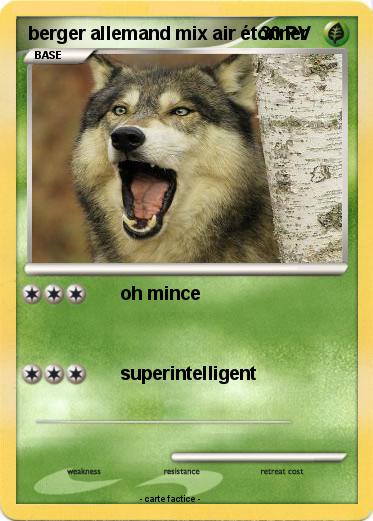 Pokemon berger allemand mix air étonner