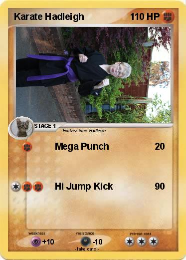 Pokemon Karate Hadleigh