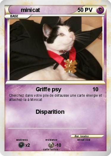 Pokemon minicat