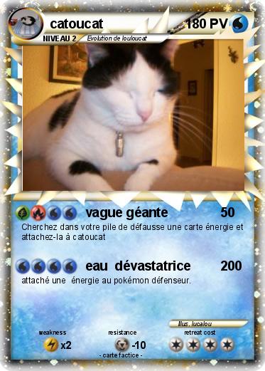 Pokemon catoucat