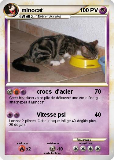 Pokemon minocat