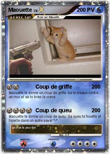 Pokemon Maouette