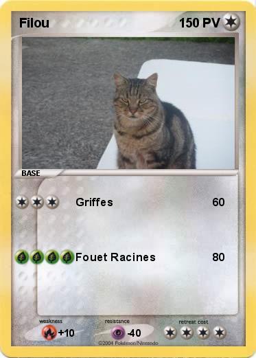 Pokemon Filou